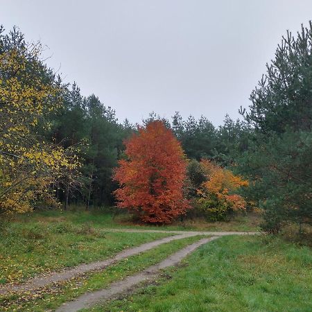 Agroturystyka Lesna Babka Jastrowie 외부 사진